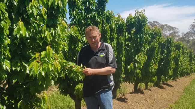 Tony Hannaford, owner of Torrens Valley Orchards in the Adelaide Hills.