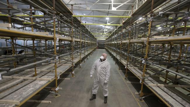 Willie Scott views inside the Glasgow temporary mortuary facility, during the final fit out in Glasgow, Scotland, Friday April 17.