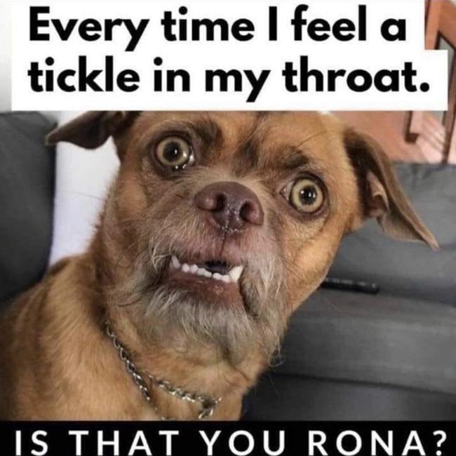 Coronavirus memes