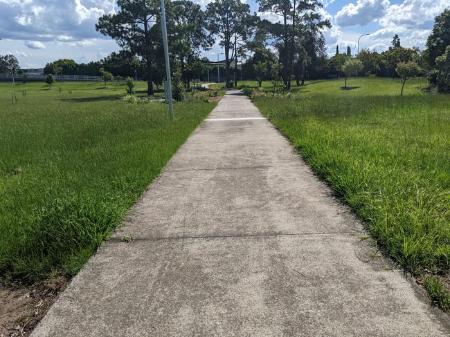 Overgrown grass either side of a pathway at the park. Picture: Keith Woods.