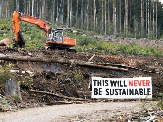 Forest Conservation Victoria protests in native forests after Andrews Government announced 2030 end-date for native timber logging.