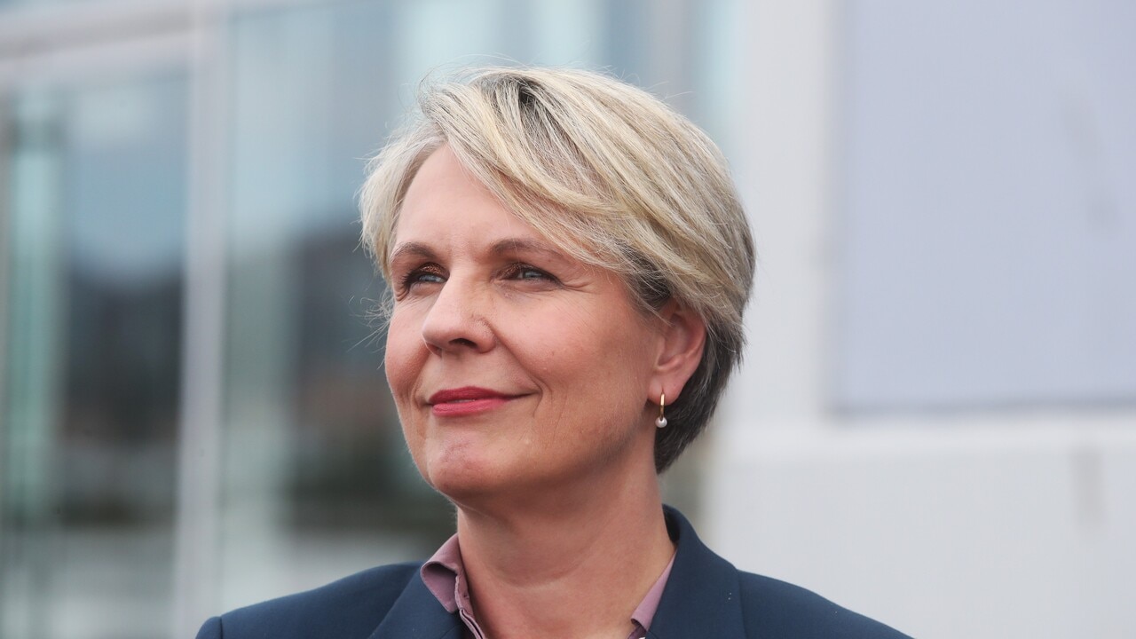 Tanya Plibersek and TV host trade barbs during tense interview