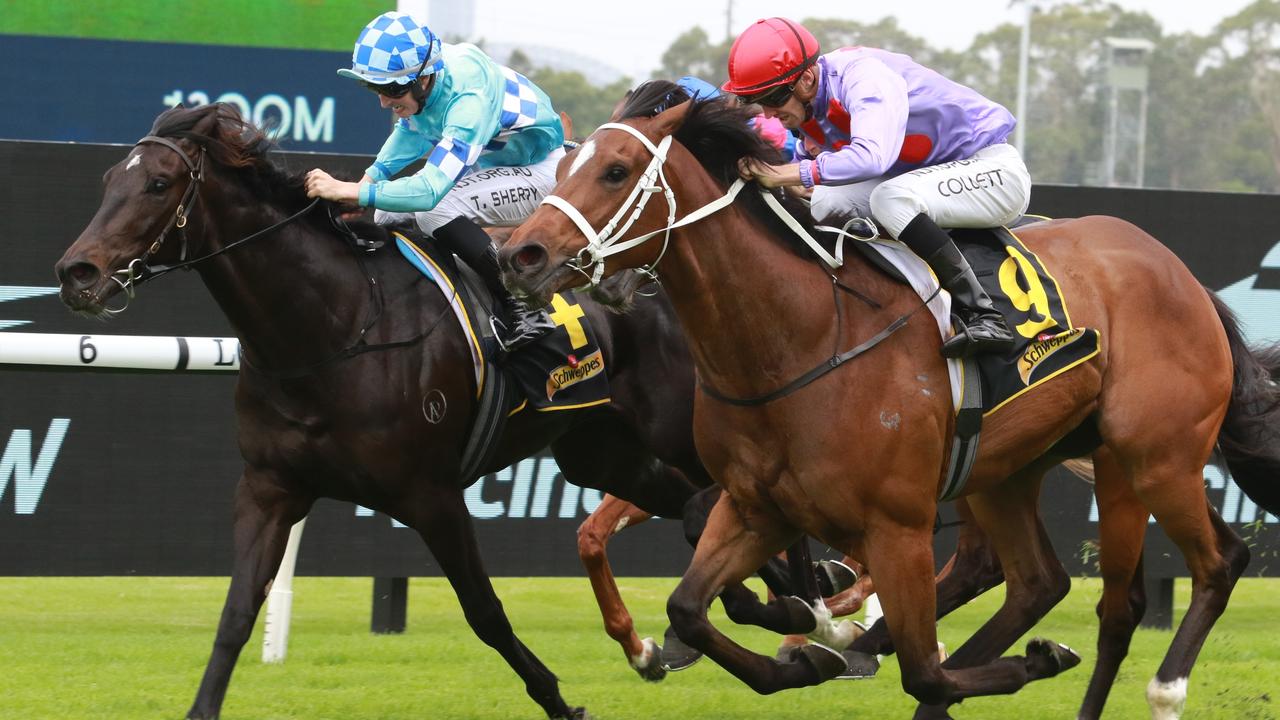 Black Duke (left) finishes a close second to Oscar Zulu at Rosehill. Photo: Grant Guy