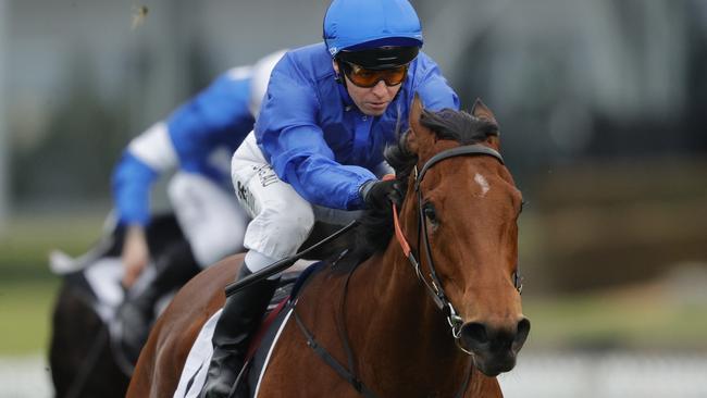 Tailleur scored an impressive win at Rosehill last start. Picture: Getty Images