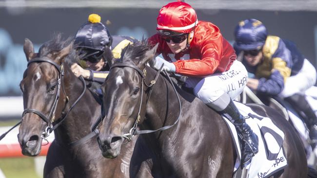 A split of Tabcorp’s wagering business from its more profitable lotteries business is thought to be likely. Picture: Getty Images