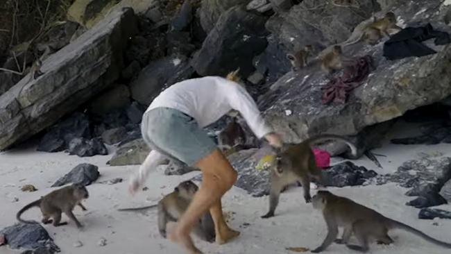 Riley Whitelum fends off wild monkeys on Monkey Island in Thailand. Picture: Youtube/Sailing La Vagabonde