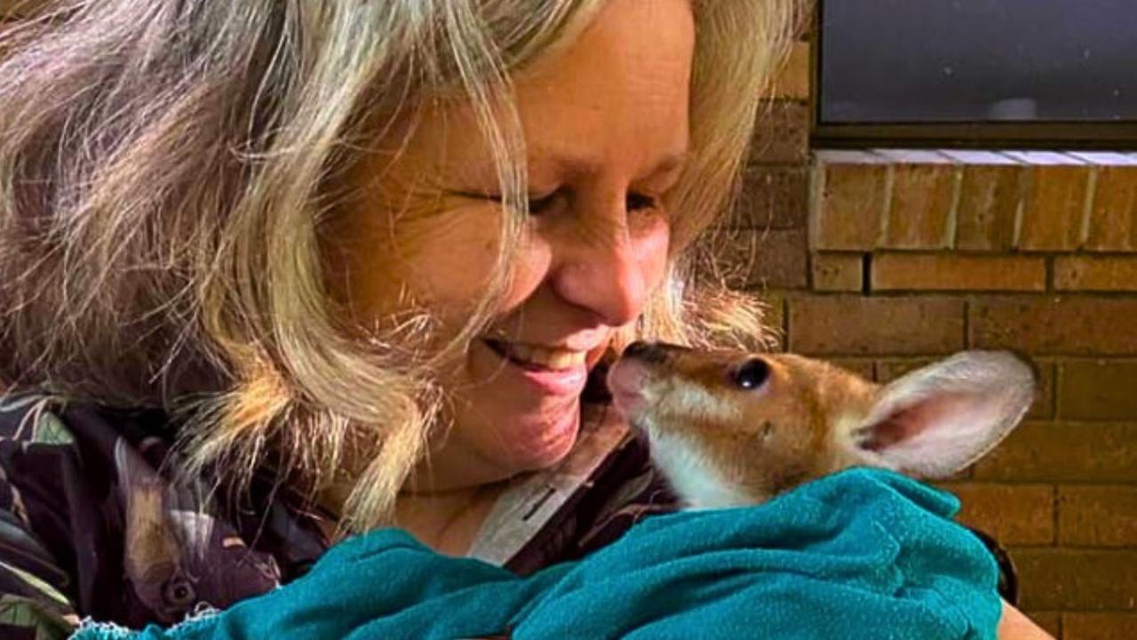 Aus Day hero slams RSPCA $25m animal hospital