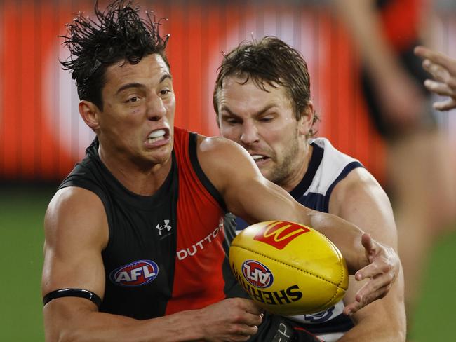 The Cats were too strong for the Bombers. Picture: Michael Klein