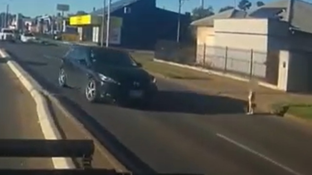 Video Shows 4yo Walking Onto Highway Before Good Samaritan Saves His ...