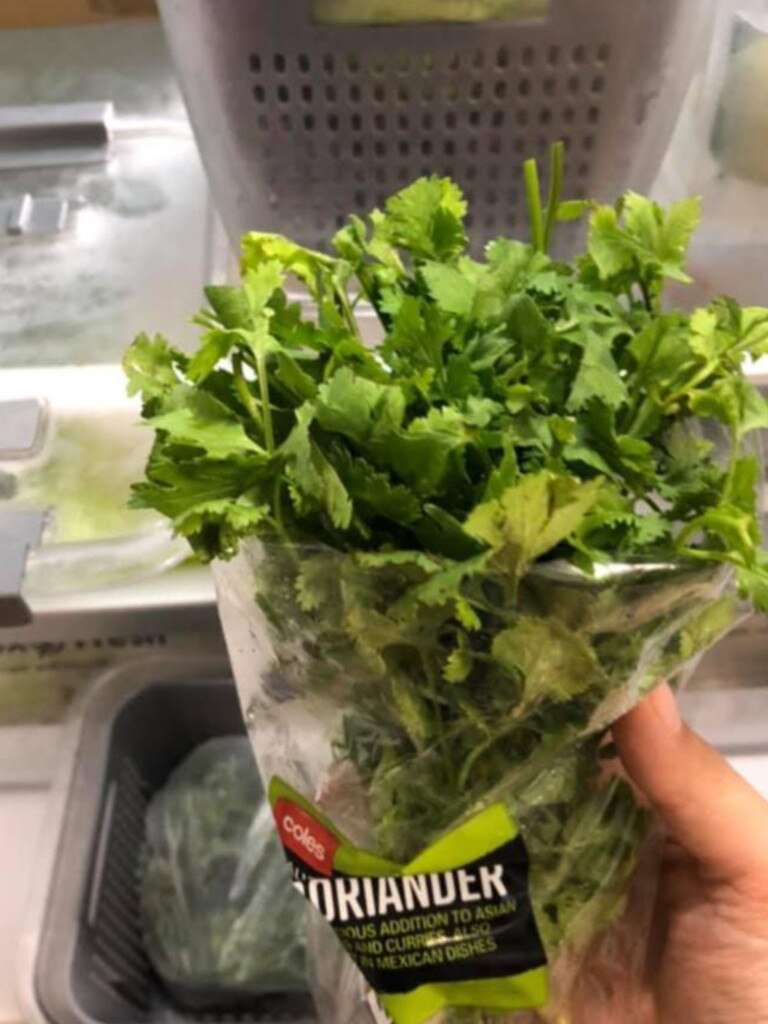 The Coles coriander was still fresh after six weeks. Picture: Facebook