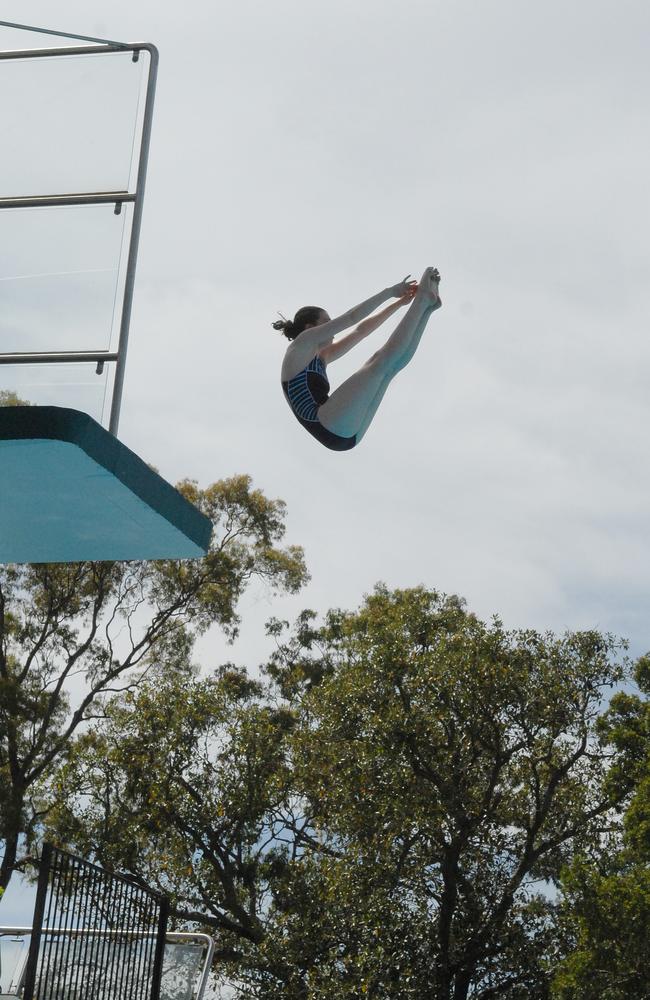 Hannah Forrell diving on October 27, 2008.