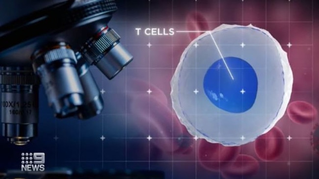 Covid could help cure cancer. Picture: Channel 9