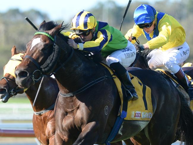Sunshine Coast races, Caloundra  - Damian Browne rides Tivaci home in the Sunshine Coast Guineas. Pic Trackside Photography/ Grant Peters