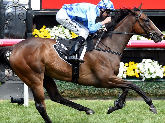 Race 6 Dwayne Dunn wins on Don't Doubt Mamma in the Lexus Hybrid Plate. 2015 Melbourne Cup Day at Flemington Racecourse, Melbourne. MelbourneCup15 Picture: Nicole Garmston