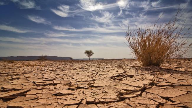 Those affected by drought challenge COVID-19 statistics in the regions.