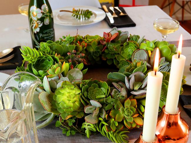 Succulent centrepiece.