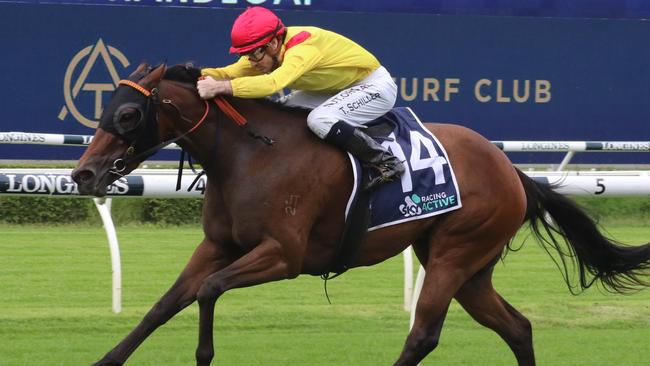 Cap Estel looks a good each-way chance second-up at Randwick on Saturday. Picture: Grant Guy