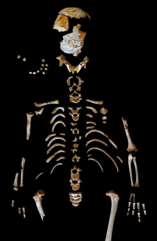 Neanderthal boy’s remains unlock secret of human evolution | news.com ...