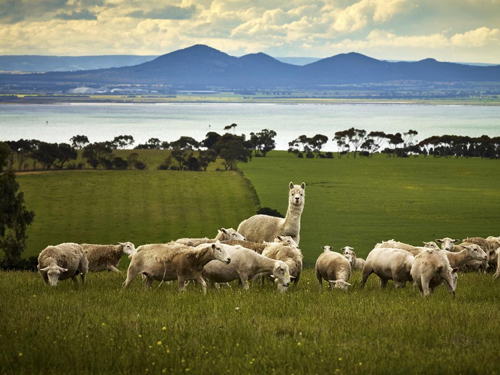 City of Greater Geelong 2021 calendar voting open, with 26 photos on