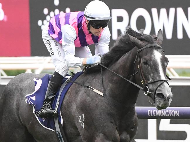 Sghirripa wins the Standish Handicap at Flemington in 2024. Picture: Brett Holburt/Racing Photos via Getty Images