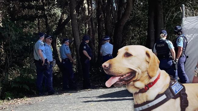 Officers were stationed outside Bluesfest gates with police dogs.