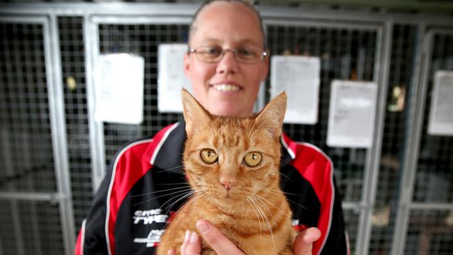 Melissa Cornish with Sandy at Redlands Animal Shelter. Picture: Richard Walker