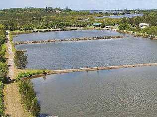 Ballina Fishing Park on North Creek Road will be auctioned on May 13. It has attracted much interest including one prospective buyer from Saudi Arabia.