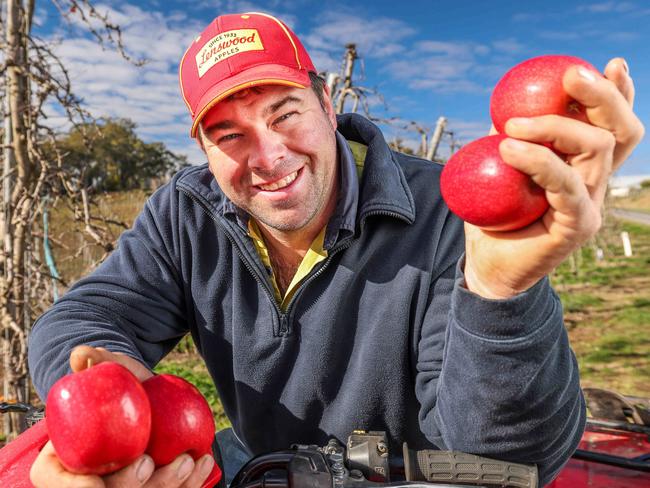 NEWS ADVNoel Mason has been awarded Grower of the Year at the National Apple and Pear Australia Awards of Excellence in Melbourne. On his Forest Range property