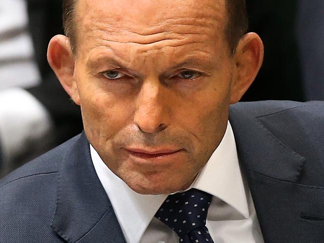 Does Tony Abbott have a twin?