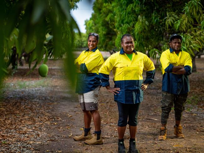 Seasonal workers from Vanuatu have been released from quarantine and have now begun work  at Arnhem Mangoes. Annie Kintor, Charline Lolting and Bill Frazer Alling are excited to get the season started. Picture: Che Chorley