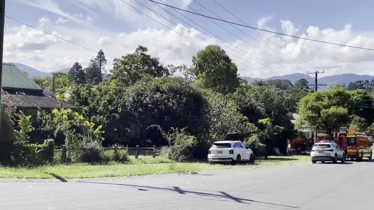 Police operation in Bellingen