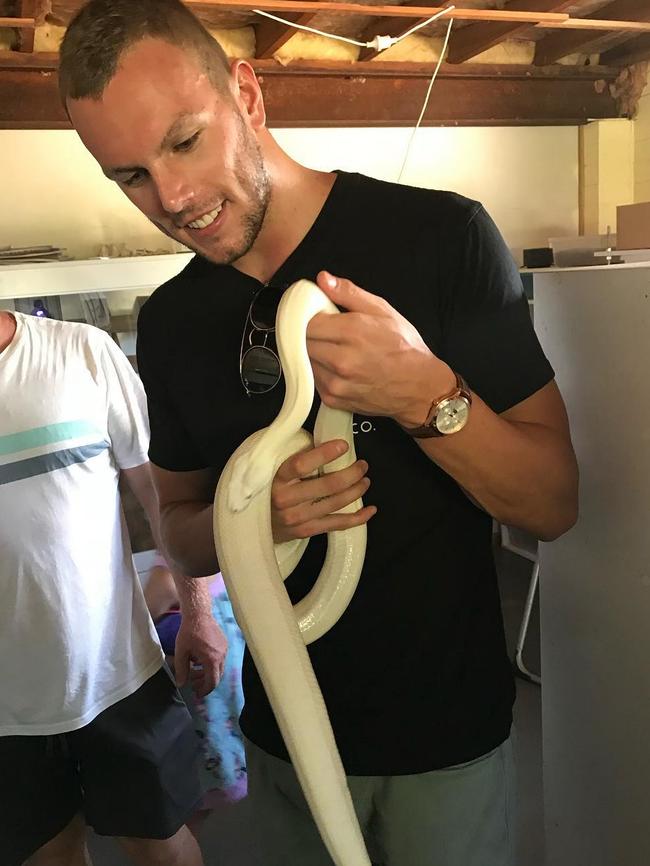 Kyle Chalmers playing with a snake.