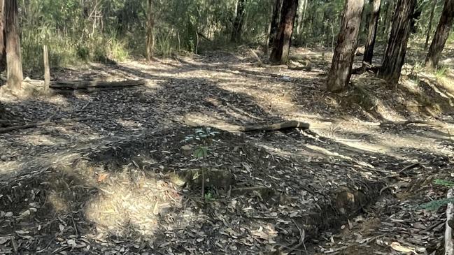 Alleged mountain bike damage to the root system at Westleigh Park.