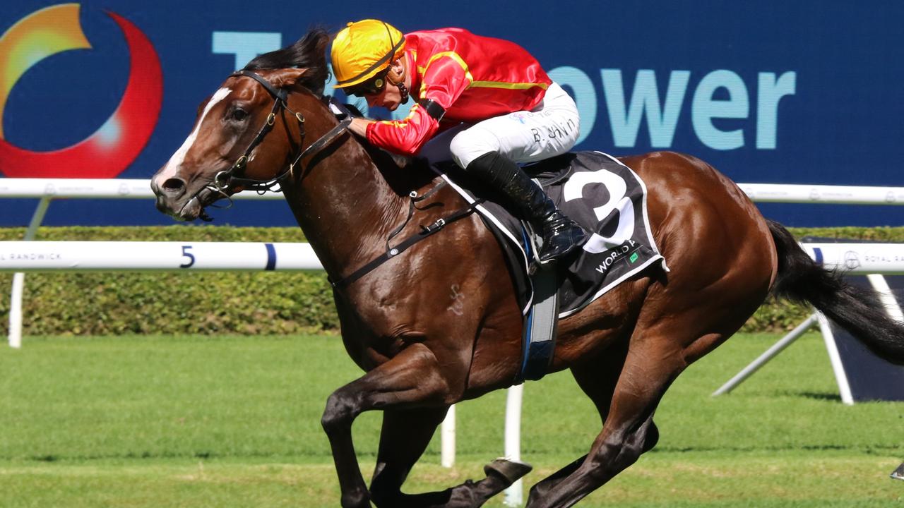 Shayne O’Cass’ Randwick tips, race-by-race analysis