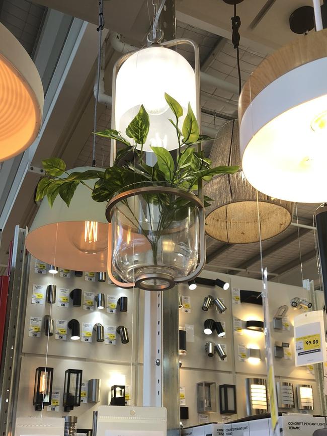 Artificial plants are even popping up in lights at Bunnings Warehouse Newstead. PICTURE: AMANDA HORSWILL