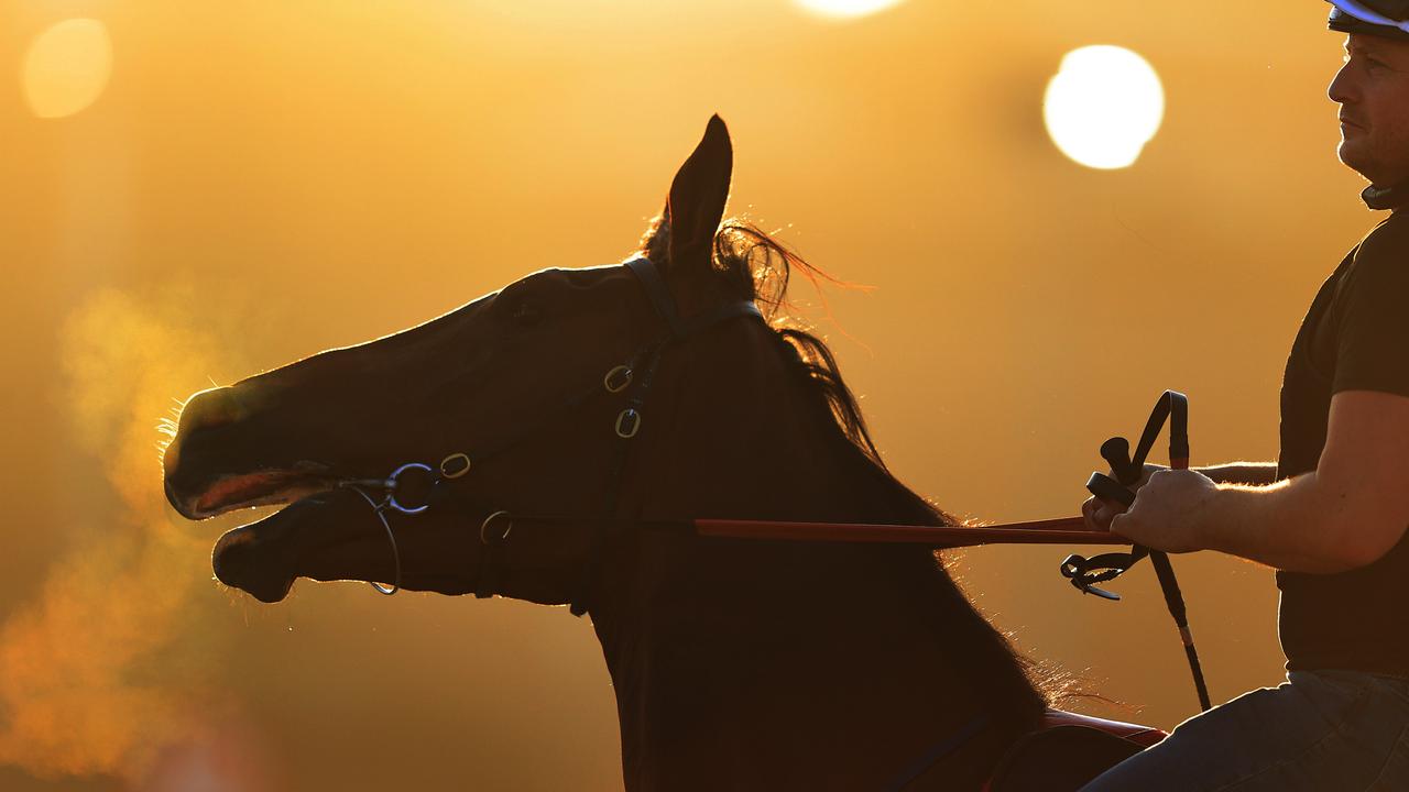 The Everest is the richest race on turf.