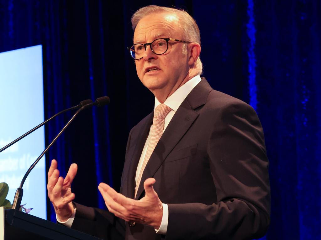 Anthony Albanese said Sheargold’s comments on the Matildas were “completely unacceptable”. Picture: David Caird