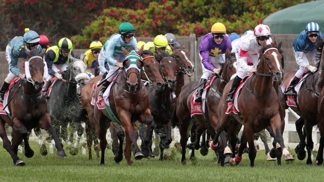 Melbourne Cup 2016 winners, best horses, barriers, how to bet | Herald Sun