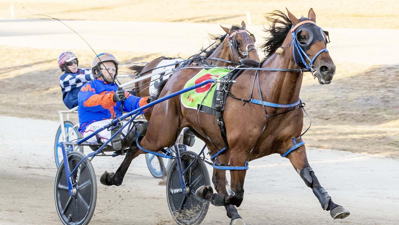 Trainer-driver Jason Grimson believes Boncel Benjamin can lead all-the-way and defeat series favourite King Of Swing in their Inter Dominion heat at Bathurst on Wednesday night. Picture: Stuart McCormick