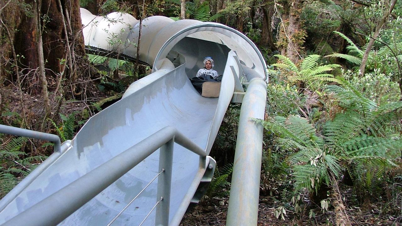 Federal government gives funding to Dismal Swamp restoration | NT News