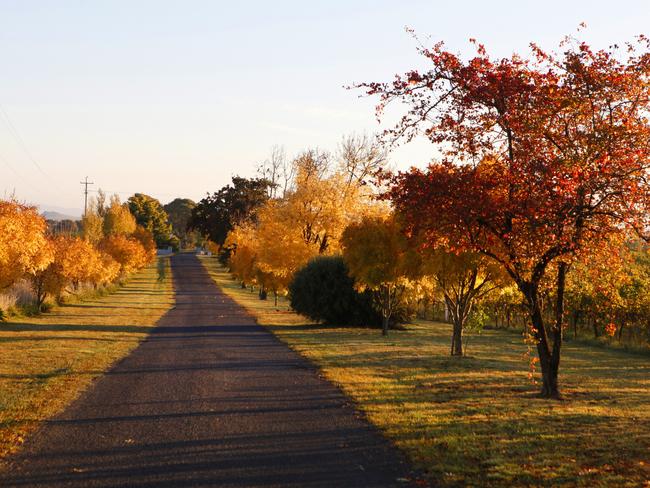 Orange, Central NSW.