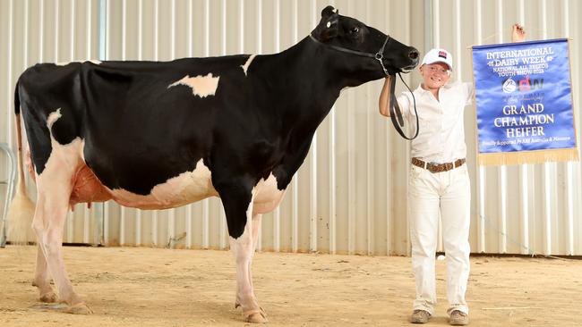 Shae Tweddle won Grand Champion Heifer.