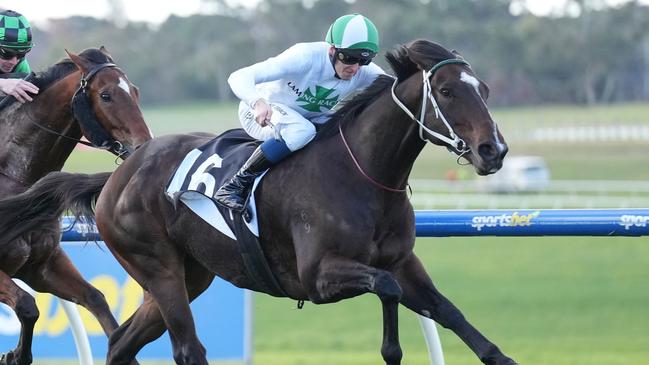 Name Dropper wins at Sandown.