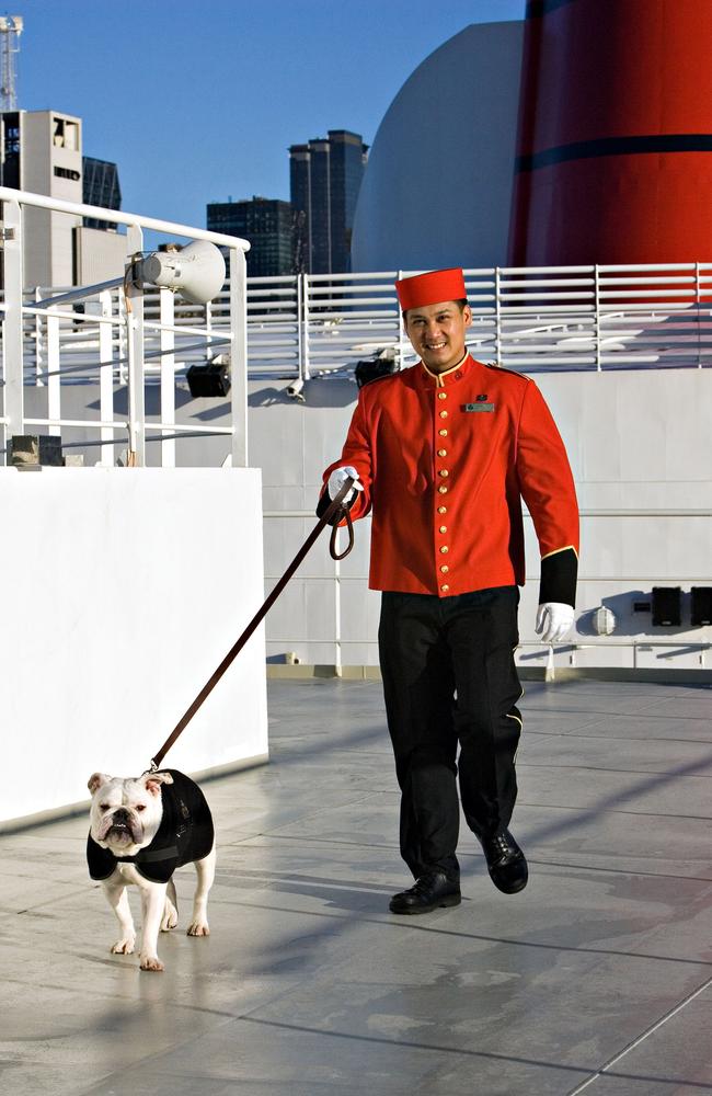 A steward walks one of the dogs on Queen Mary 2.