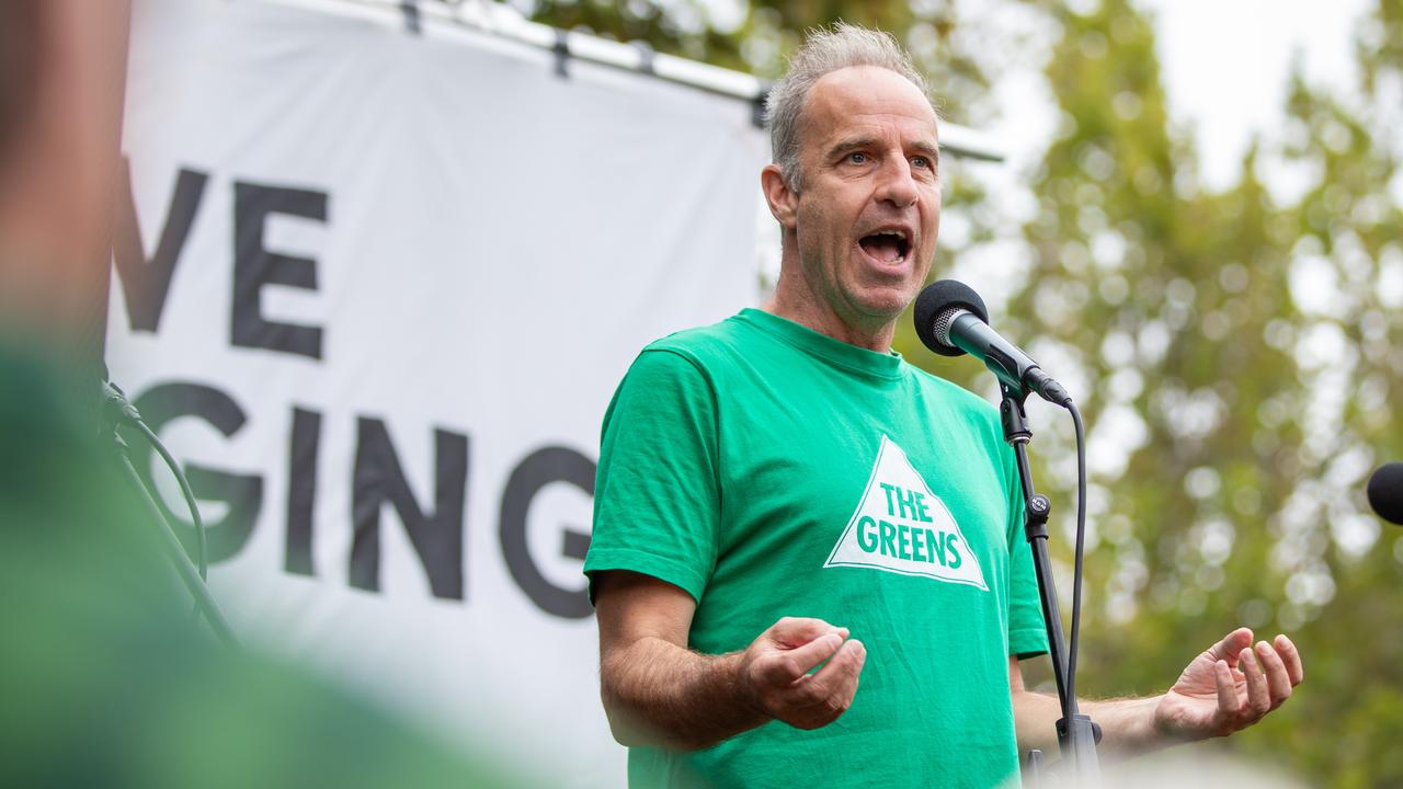 Senator Nick McKim. Picture: Linda Higginson