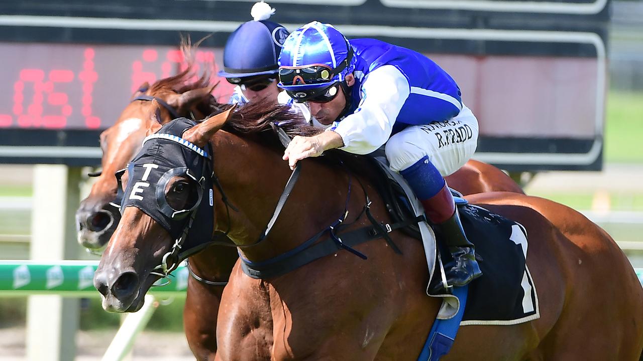 Vanna Girl Group 1 After Doomben Win The Courier Mail 