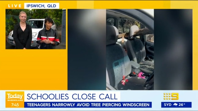 Terrifying moment tree crashed through Schoolies car windscreen