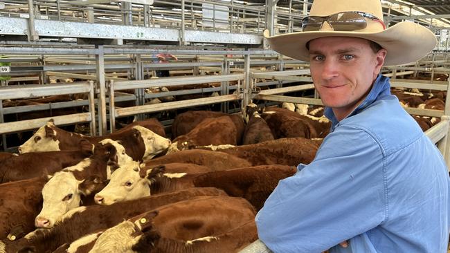 Tom Sleigh from Sleigh Pastoral at Jerilderie NSW with the top pen from his family's draft of Poll Hereford steers at Wodonga, a pen weighing 360kg that sold for $1100 or 306c/kg. It was awarded the best pen of whiteface cattle at day four of the weaner sales.