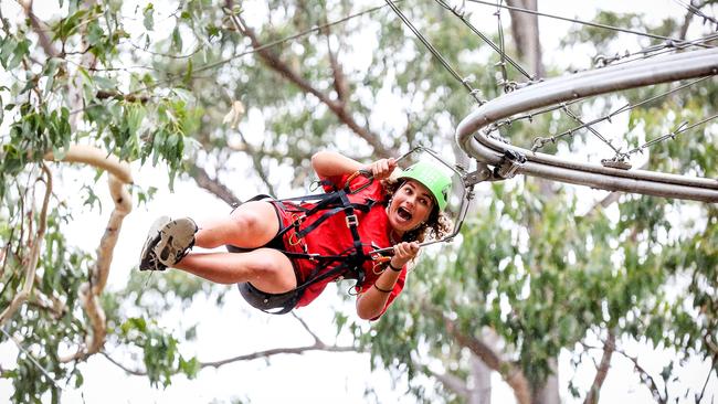 The zip line roller coaster high in the treetops. Picture: Nicole Cleary