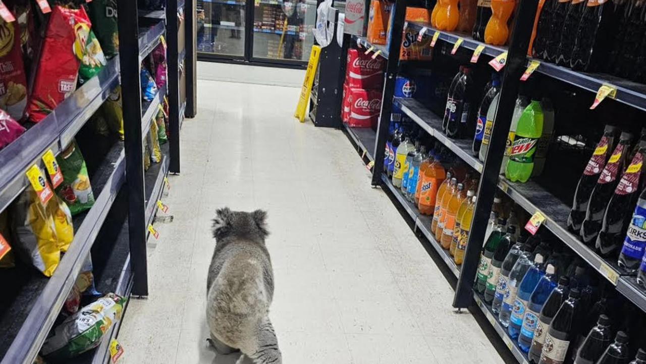 Bizarre scenes at busy supermarket